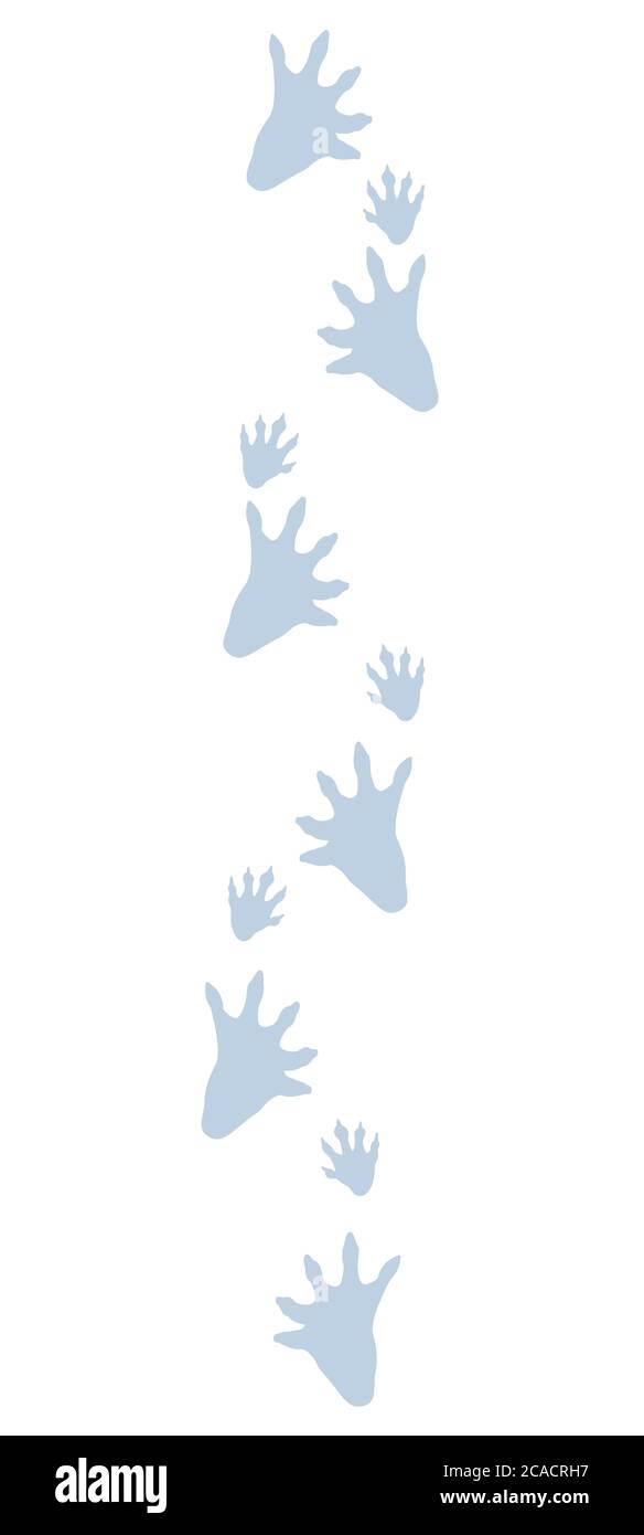 Pistes Beaver dans la neige. Empreintes typiques de roulette - illustration d'icône sur fond blanc. Banque D'Images