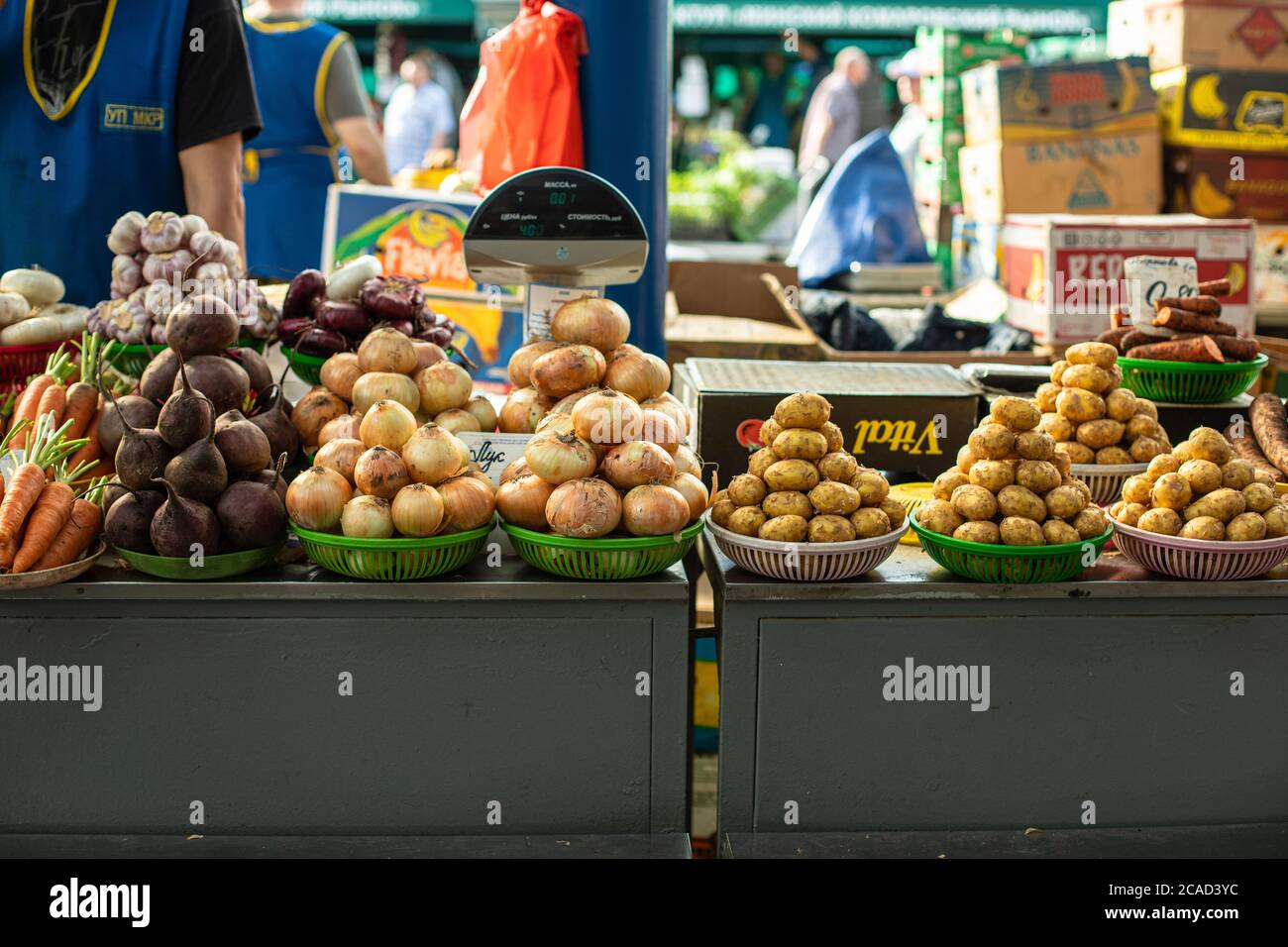 Marché des légumes. De nombreux légumes sont vendus dans des paniers multicolores les uns à côté des autres Banque D'Images