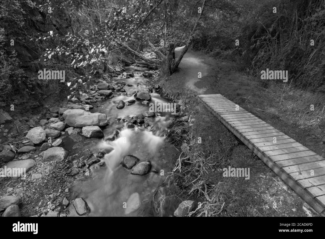 Ruisseau d'eau pure qui coule sur un terrain de montagne rocheux le long du sentier de Vateri dans la forêt de Kakopetria à Troodos, île de Chypre. Banque D'Images