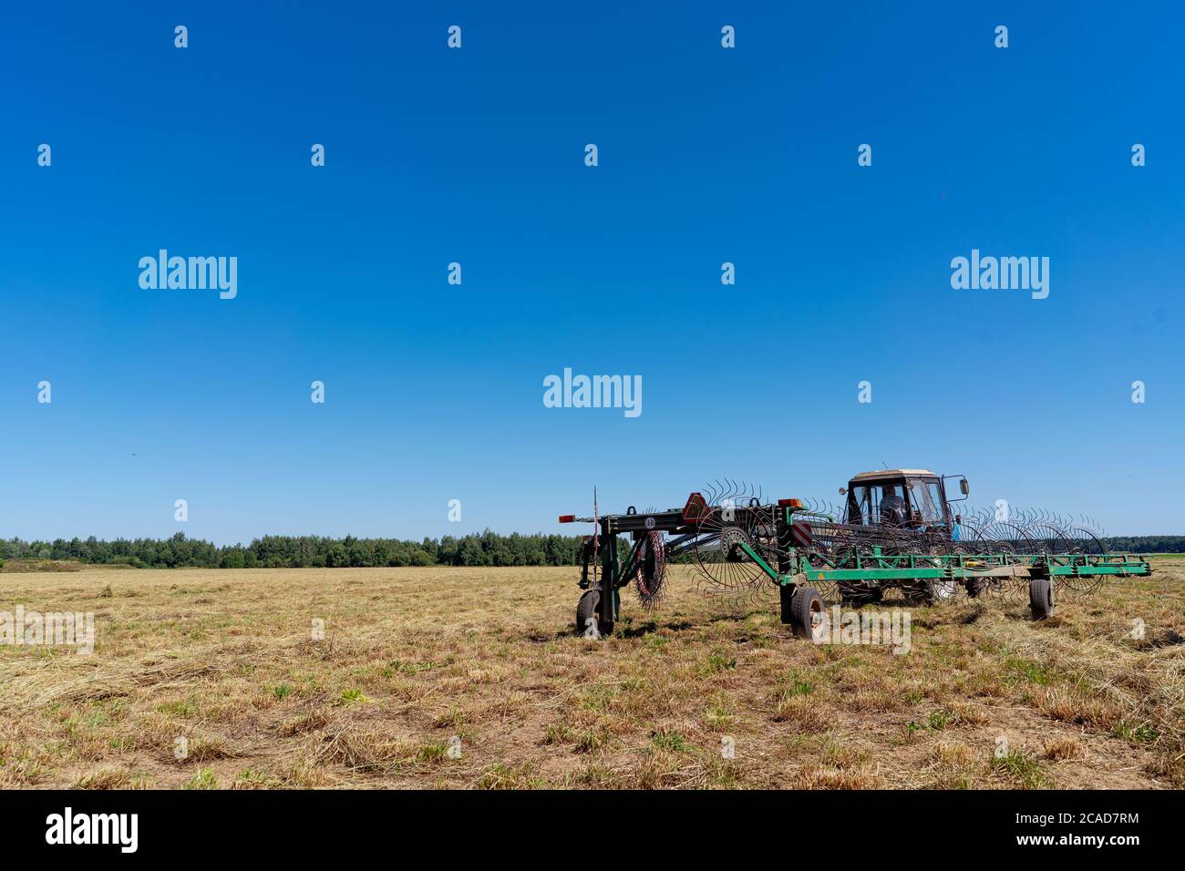 récolteuse dans le champ fauchant le foin. Banque D'Images
