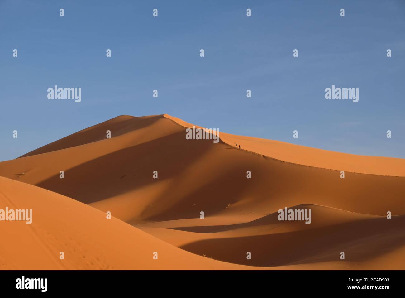 Montagnes du désert du Sahara brun sous le soleil. Horizon bleu. Près de Merzouga au Maroc. Grand angle Banque D'Images
