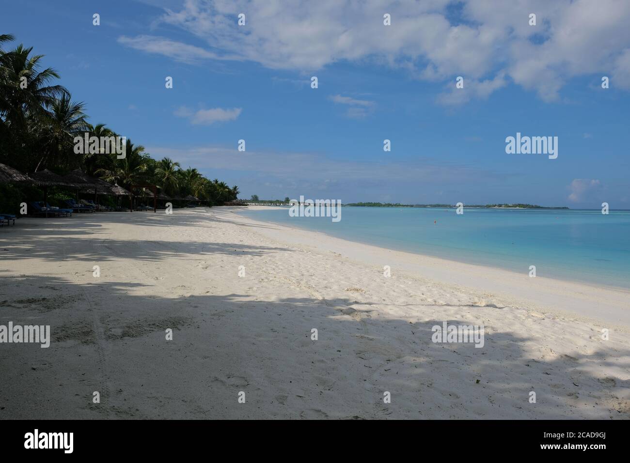 Perspective plage de sable blanc dans l'île des Maldives station. Eau de mer verte et palmiers. Soleil sur la plage Banque D'Images