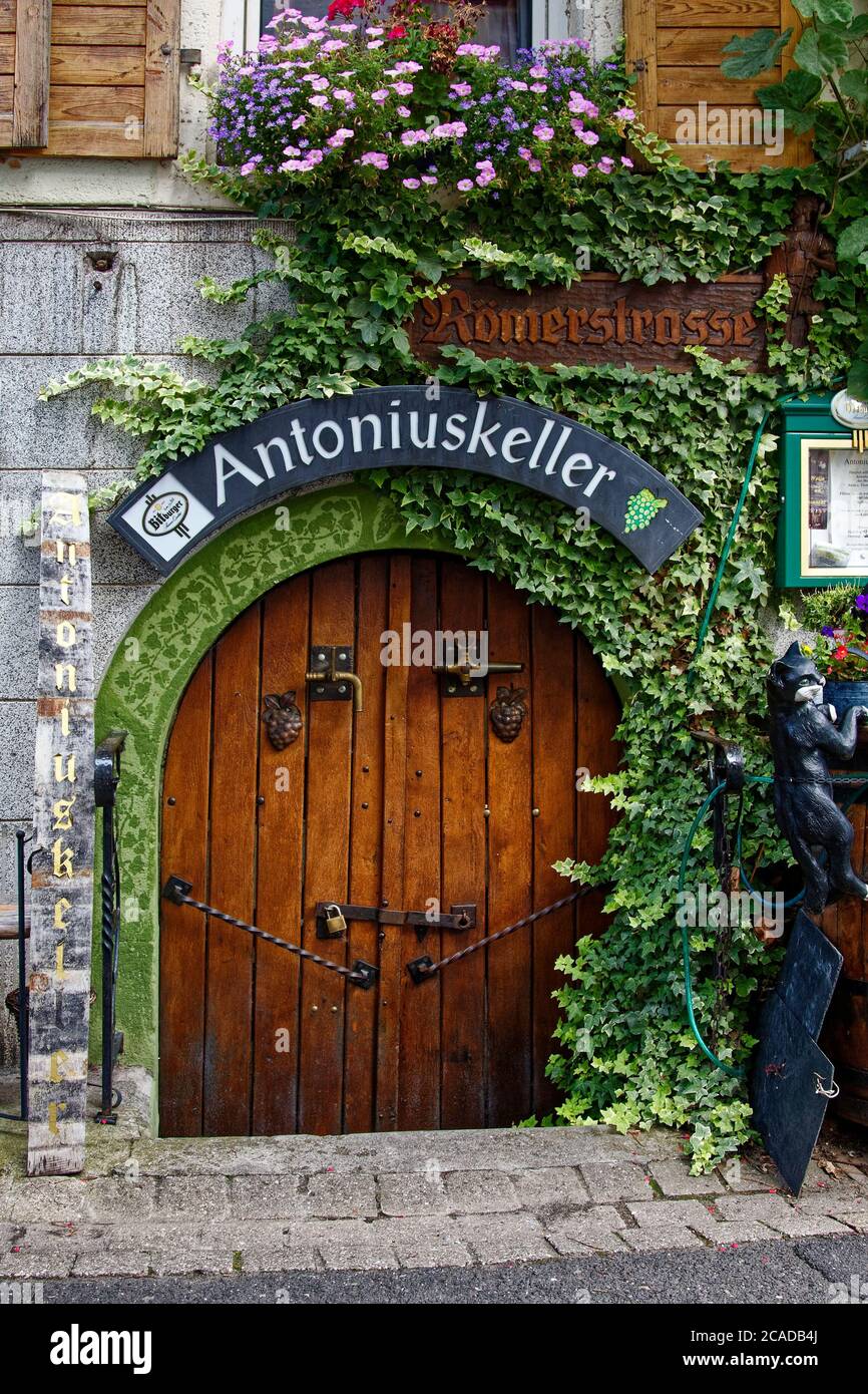 Entrée de cave à vin, ancienne porte en bois voûté, bas de la rue,  décoration de chat noir, fleurs, vigne, affaires, Moselle, vallée de la  Moselle, Europe, Zell; Ger Photo Stock -