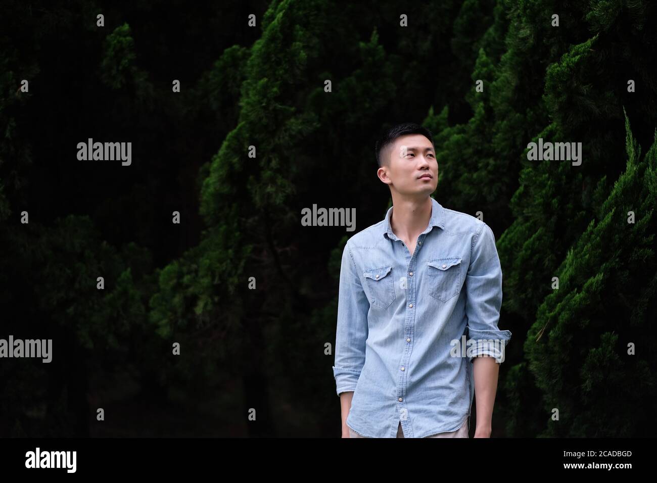 Un jeune asiatique en bleu teinté jeans chemise, debout devant des pins verts. Arrière-plan sombre flou. Banque D'Images