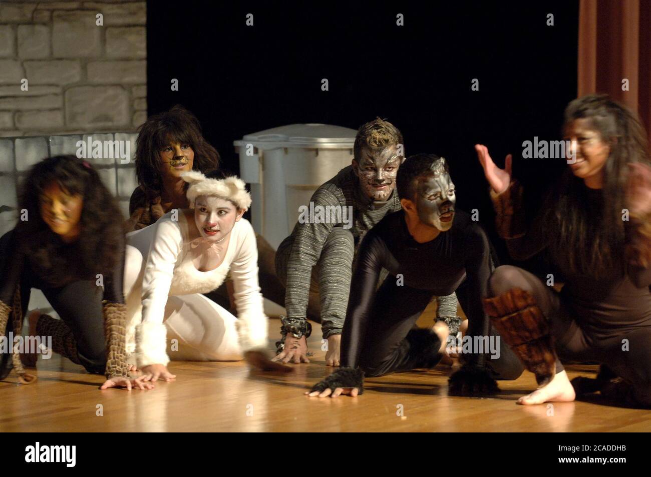 Brownsville, Texas États-Unis, janvier 2006 : les étudiants interprètent les 'Cats' d'Andrew Lloyd Webber à l'auditorium de la Lopez High School. ©Bob Daemmrich Banque D'Images