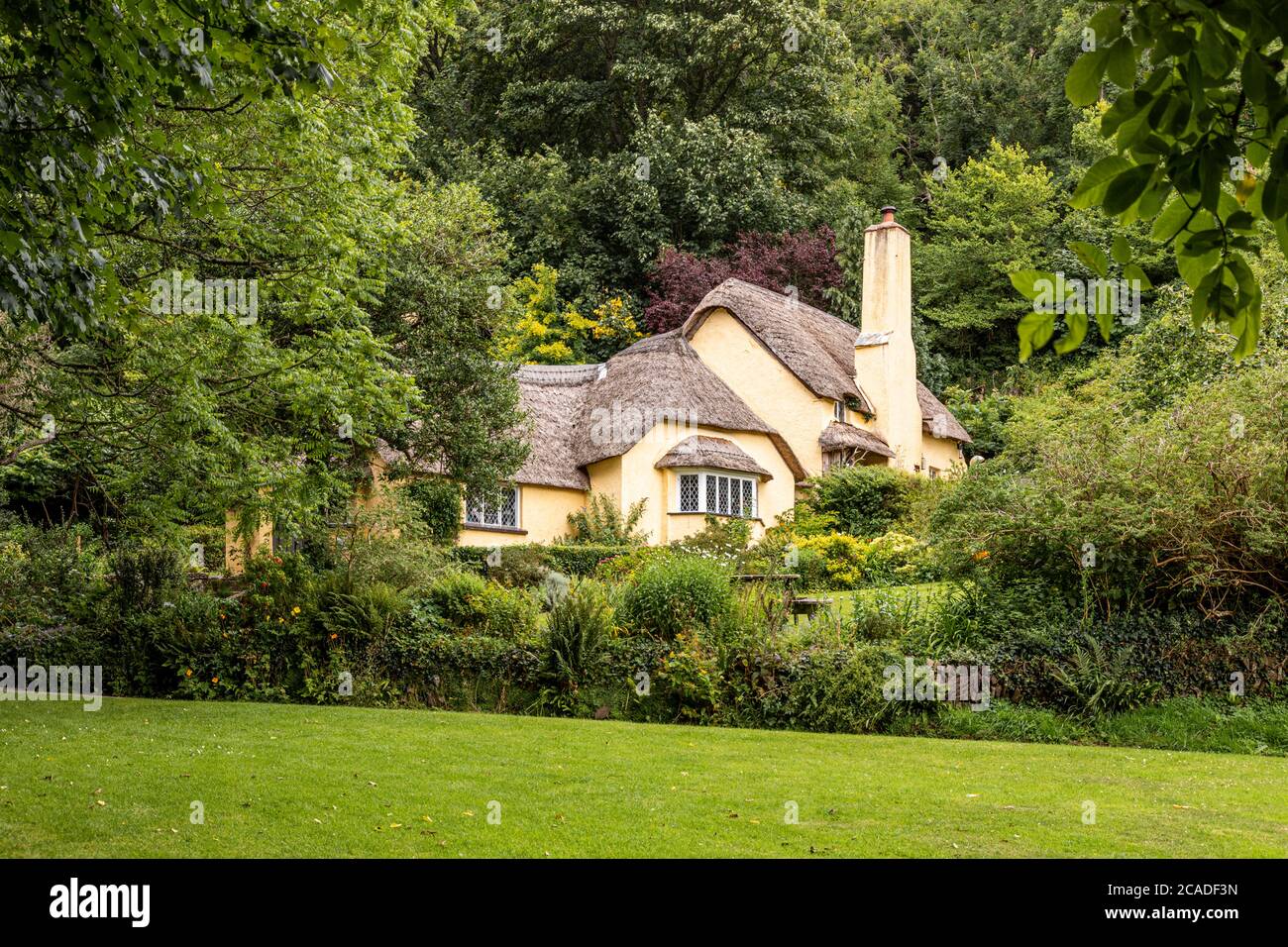 Parc national d'Exmoor - UN cottage typique de chaume dans le village de Selworthy, Somerset Royaume-Uni Banque D'Images