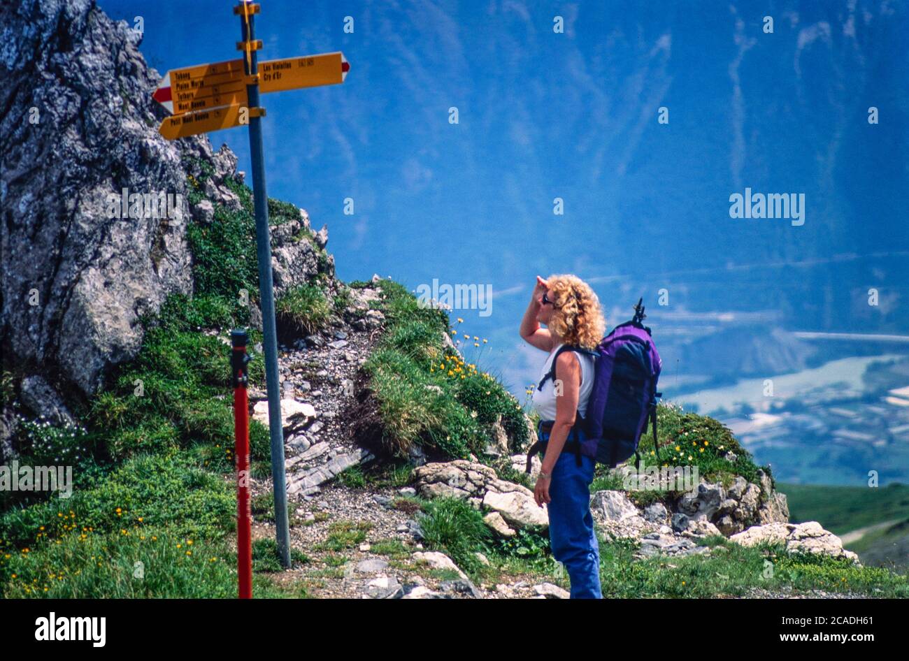 Archive image: Femme randonneur avec des bâtons de randonnée et de rucack sur un patche de montagne au-dessus de la vallée du Rhône en Suisse, été 1995, regardant le panneau de route Banque D'Images