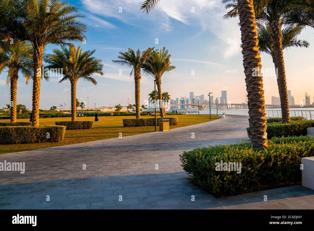 Palmiers et arbustes entretenus avec un magnifique parc horizon de la ville en arrière-plan Banque D'Images