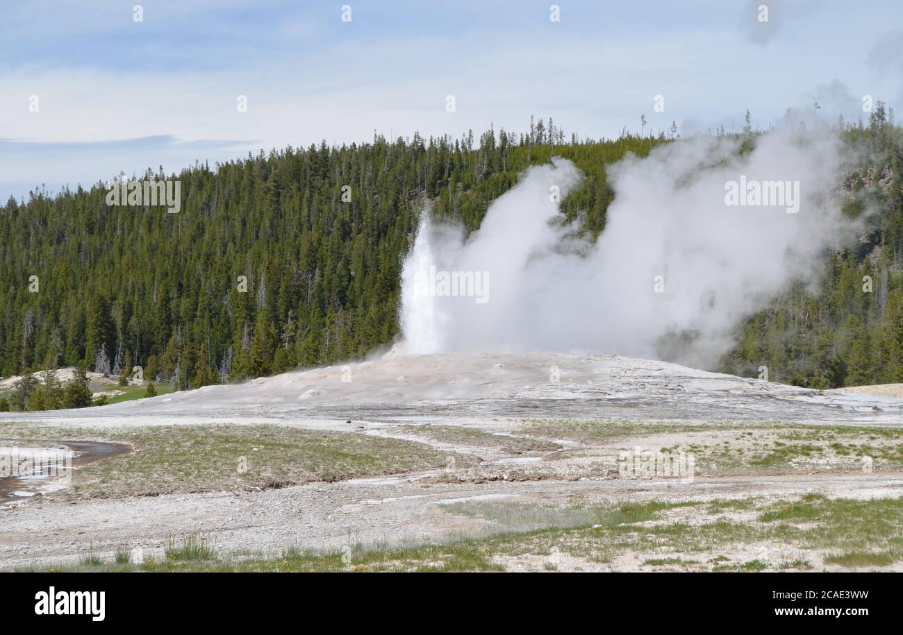 Fin du printemps dans le parc national de Yellowstone : l'éruption de Geyser de vieux fidèles se déforme dans le bassin supérieur de Geyser Banque D'Images