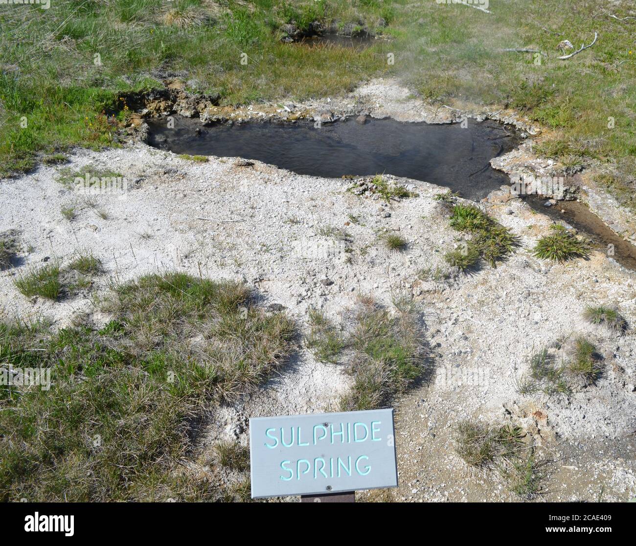 PARC NATIONAL DE YELLOWSTONE, WYOMING - 8 JUIN 2017 : sources de sulfure dans le groupe Geyser Hill, dans le bassin supérieur de Geyser, non loin de Old Faithful Banque D'Images