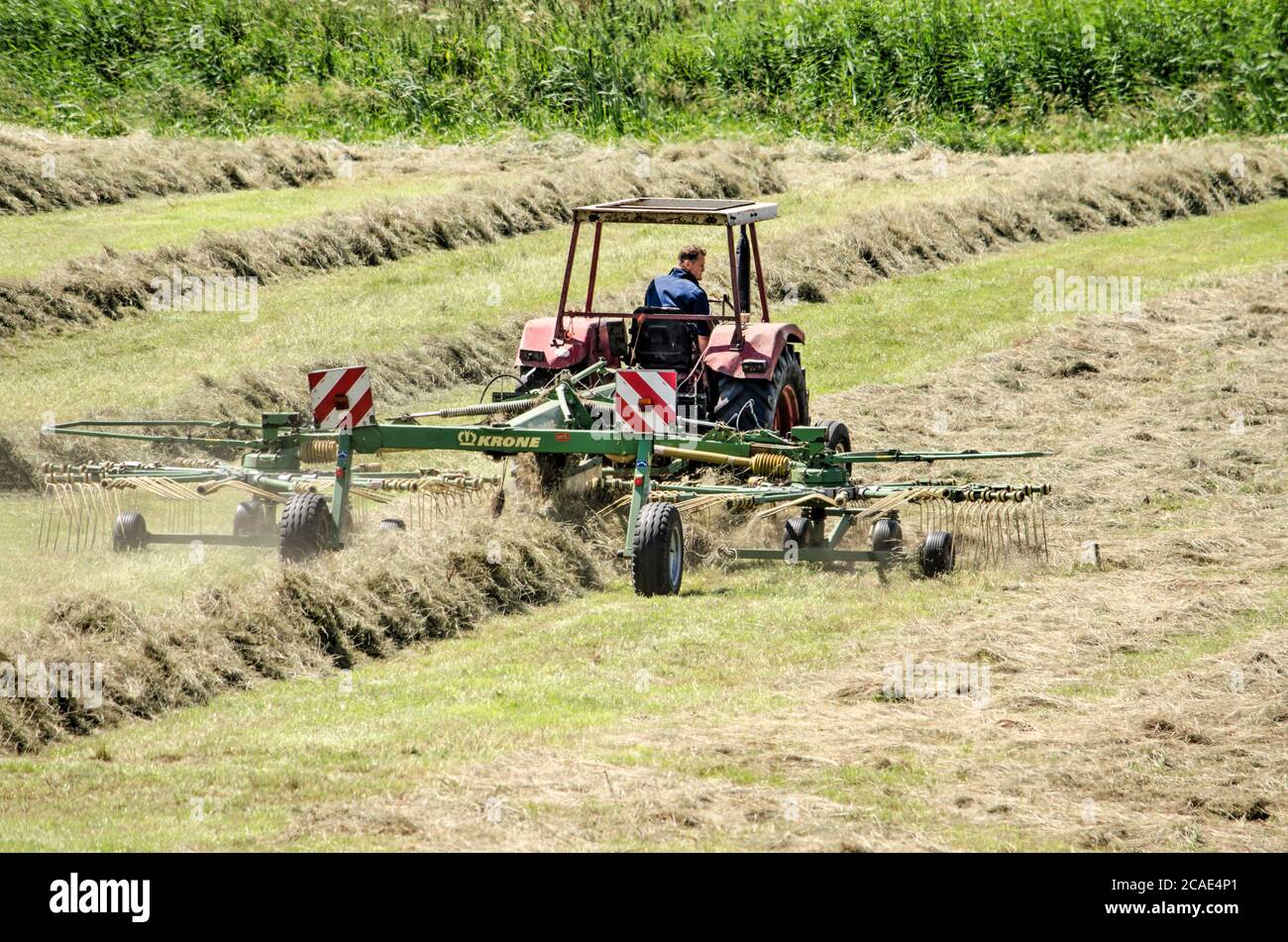 Wilsum, pays-Bas, 21 juillet 2020 : machine agricole en service dans un champ, organisant le foin séché en rangées pour la production ultérieure de balles Banque D'Images