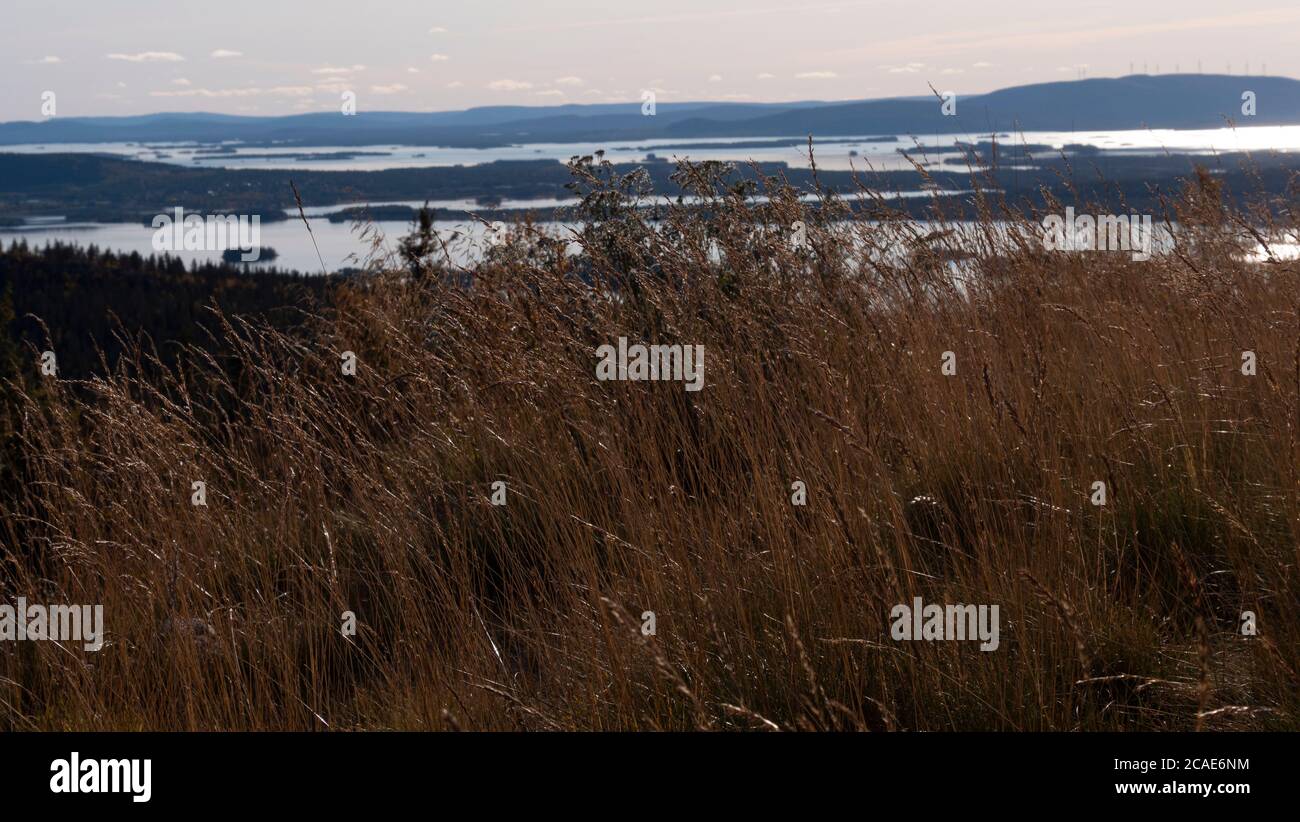 Vue sur les montagnes et les lacs Arjeplog en septembre Banque D'Images