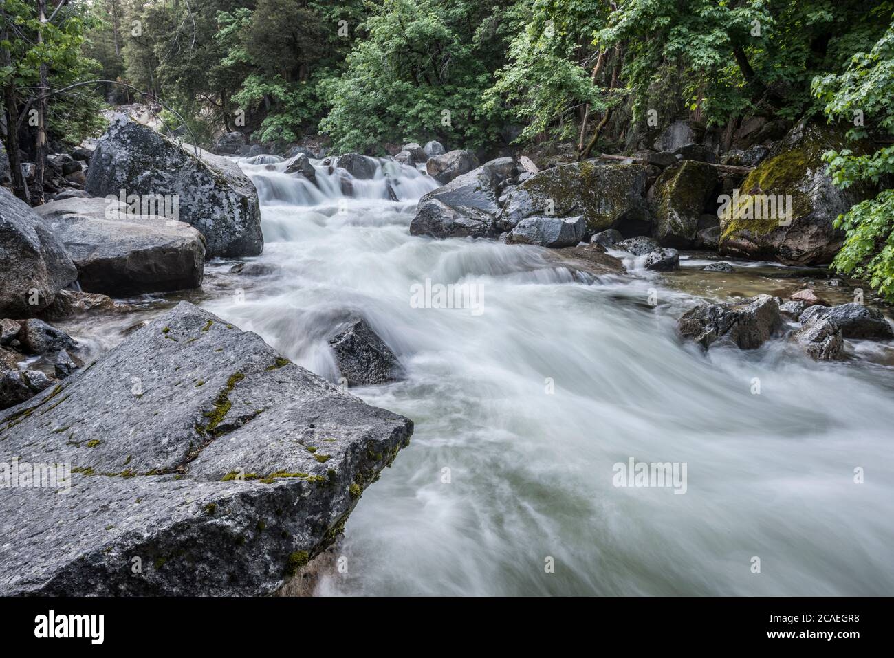 Tenaya Creek dans le parc national de Yosemite Banque D'Images