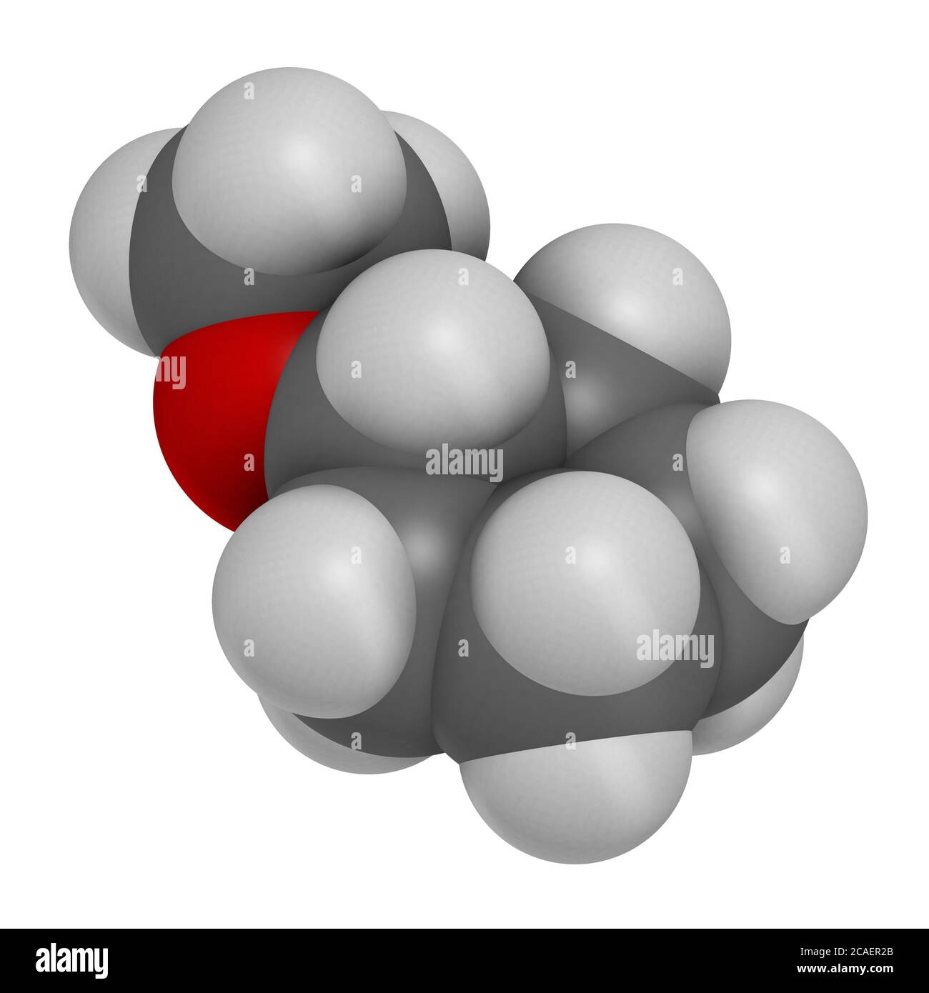 Rendu 3D de la molécule de solvant d'éther méthylique de cyclopentyle. Les atomes sont représentés sous forme de sphères avec un codage couleur conventionnel : hydrogène (blanc), carbone (gre Banque D'Images
