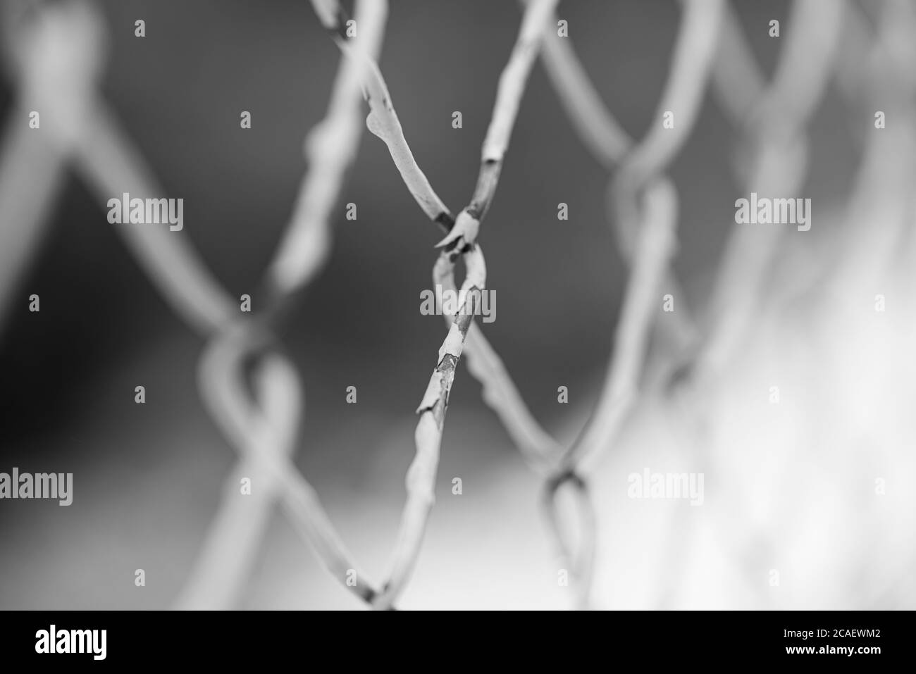 Câble métallique à cage en gros plan, fond noir et blanc. Banque D'Images
