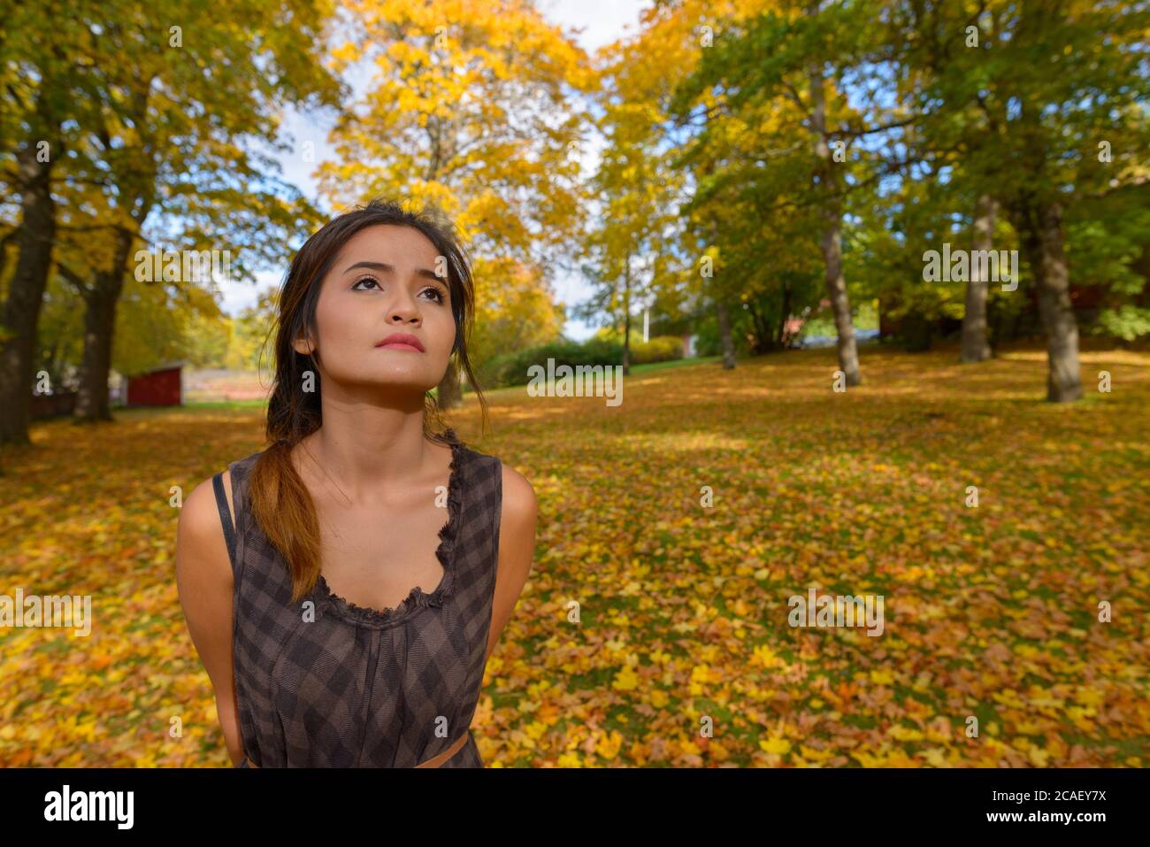 Jeune belle femme asiatique pensant et regardant entouré par les arbres d'automne pittoresques et les feuilles dans la forêt Banque D'Images