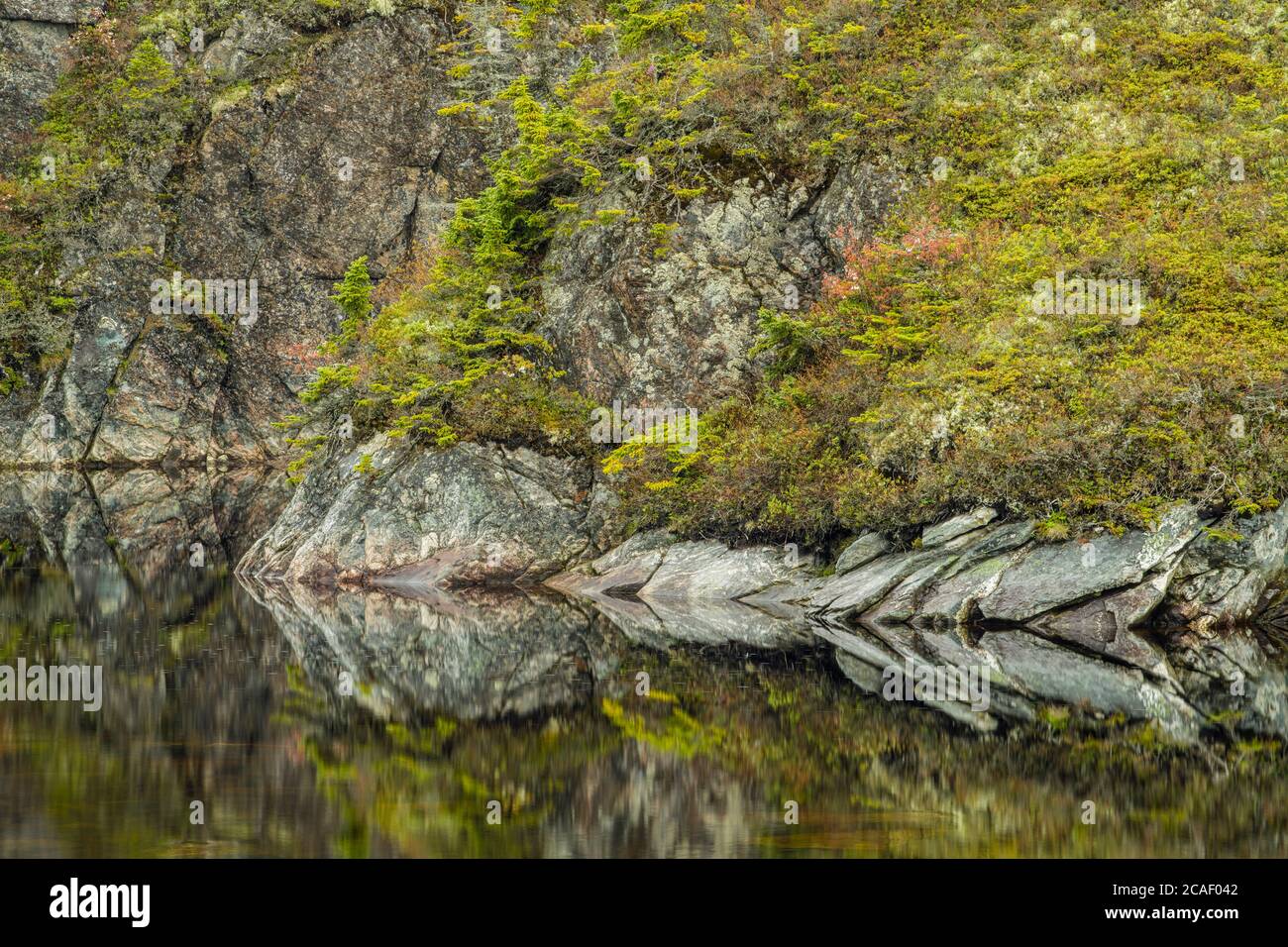 Réflexions de roches et d'arbres dans les étangs en bordure de route, route 470, Terre-Neuve-et-Labrador, T.-N.-L., Canada Banque D'Images