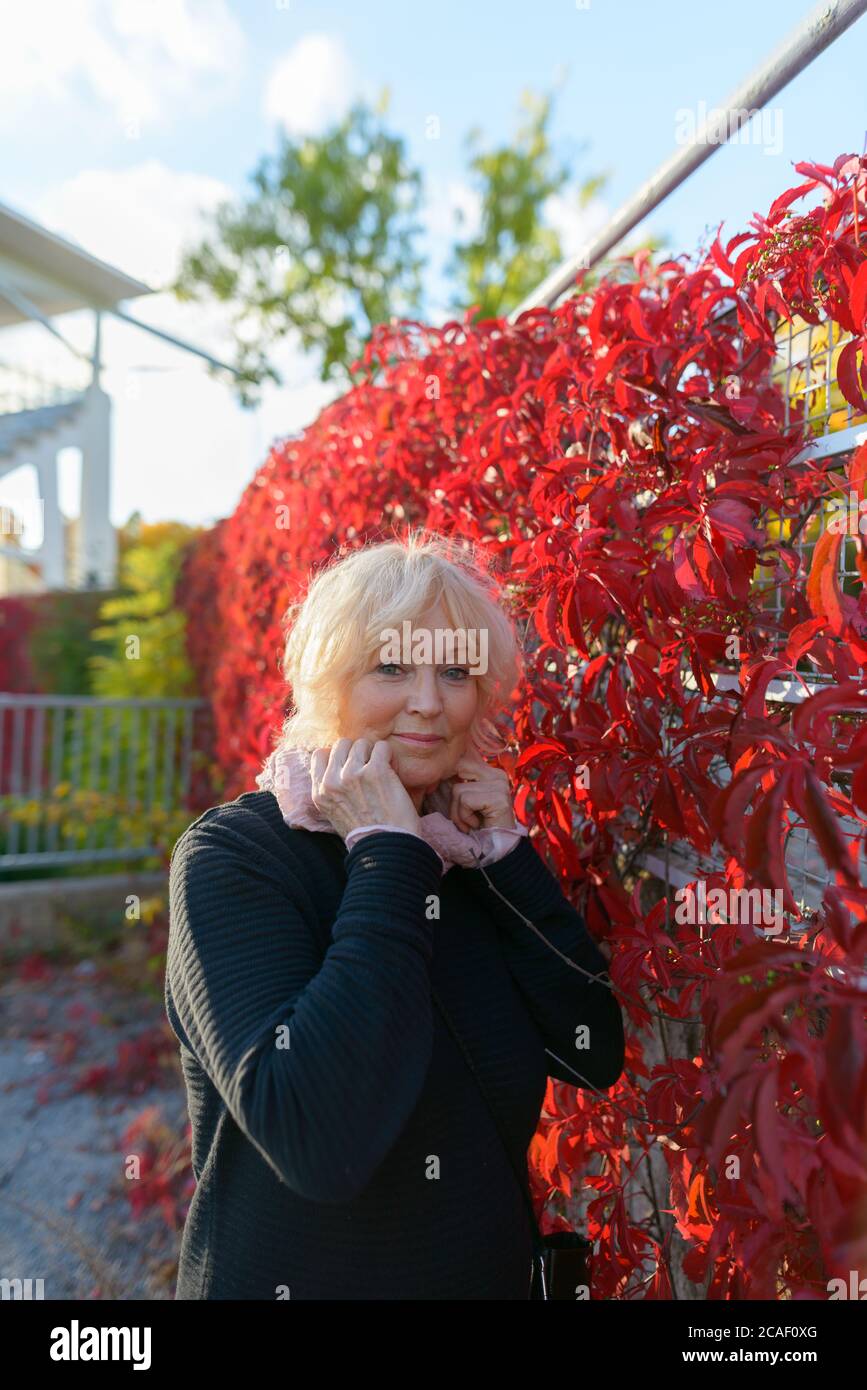 Femme âgée tenant une écharpe avec les deux mains devant les plantes rouges de super-réducteur couvrant la clôture Banque D'Images