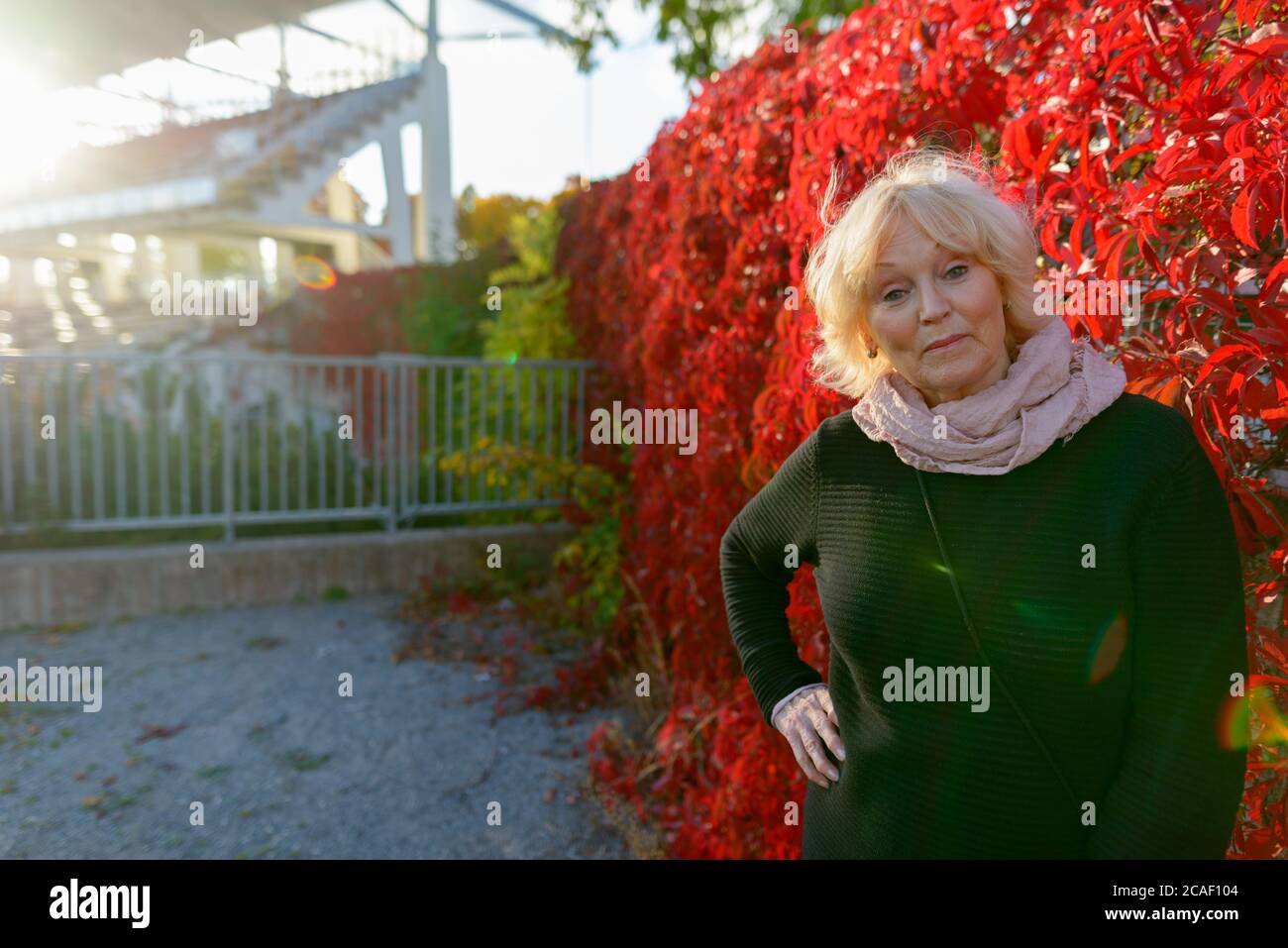 Femme âgée posant devant des plantes de super-réducteur rouges recouvrant la clôture Banque D'Images