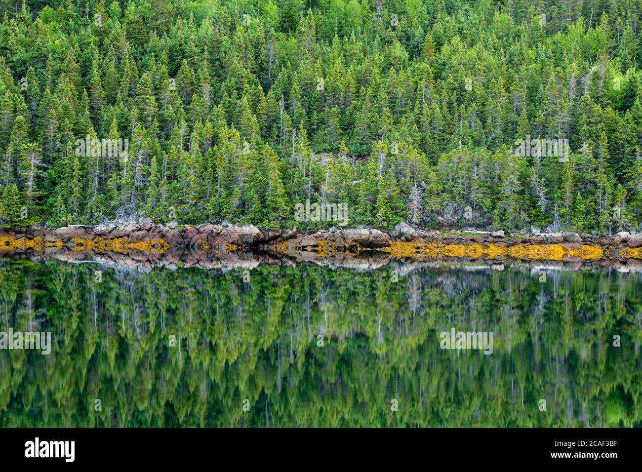 Réflexions sur les rives, pont-jetée de l'île Pilley, Terre-Neuve-et-Labrador, T.-N.-L., Canada Banque D'Images