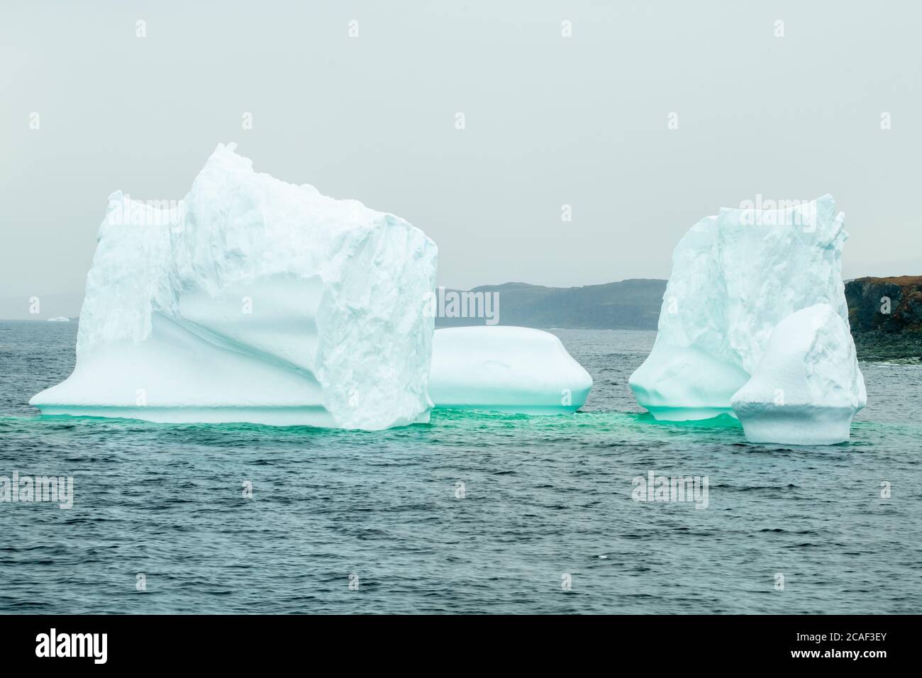 Iceberg géant, Goose Cove, Terre-Neuve-et-Labrador, T.-N.-L., Canada Banque D'Images