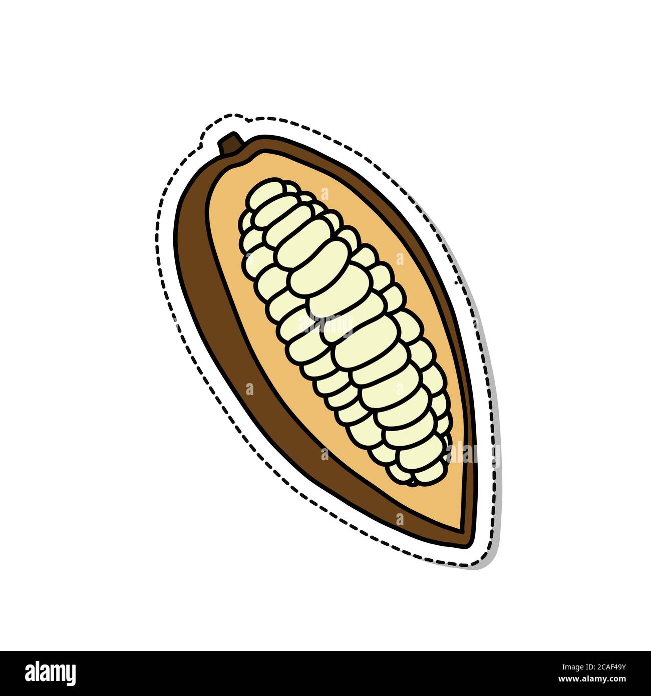 icône de croodle de fruits cacao, illustration vectorielle Illustration de Vecteur