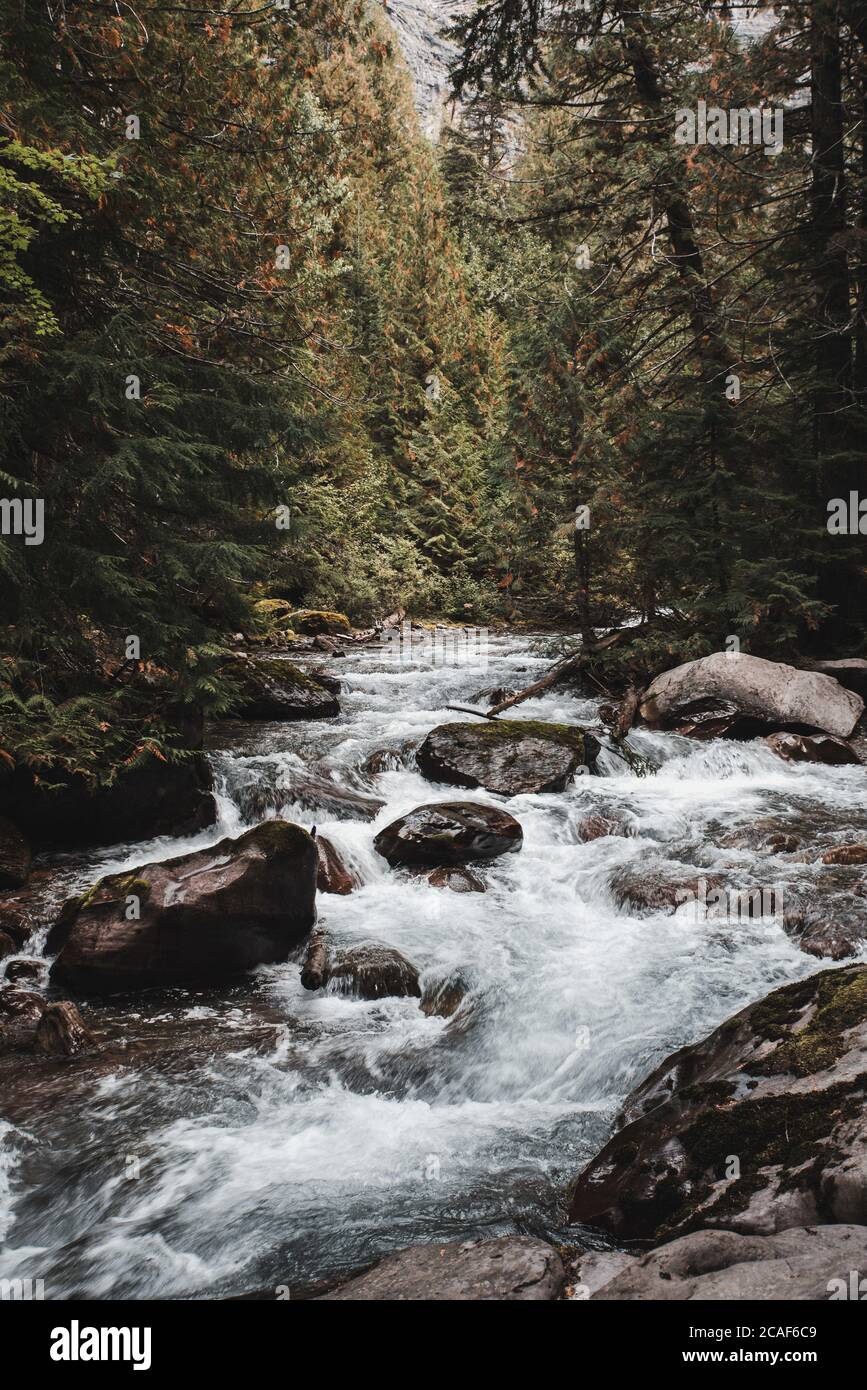 Photo fascinante au parc national de Yellowstone, Upper Falls of the Yellowstone River Canyon USA Banque D'Images