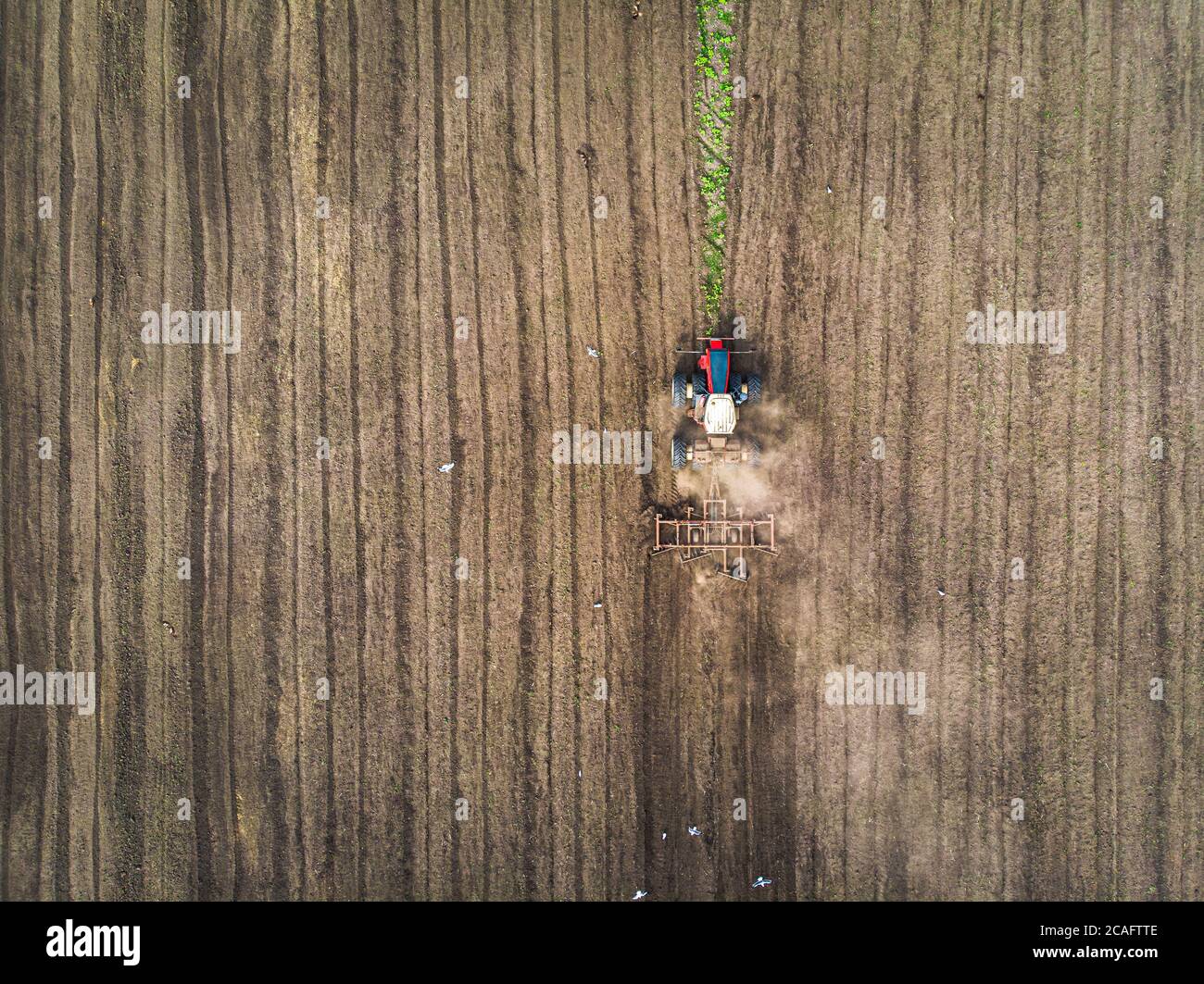 une grande machine agricole cultive la terre. La vue du dessus. Labourage de terres pour planter des cultures. Photos de la vue de l'oiseau avec Banque D'Images