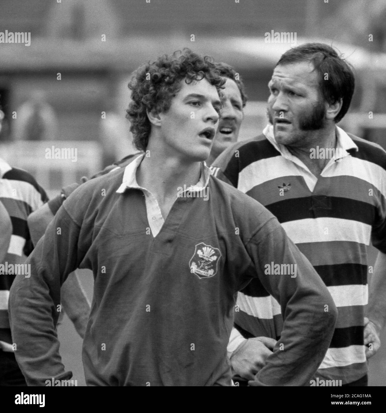 Llanelli RFC et David Pickering, flanker du pays de Galles, en action contre Bath RFC à Stradey Park, Carmarthenshire, pays de Galles, le 27 septembre 1980. Banque D'Images
