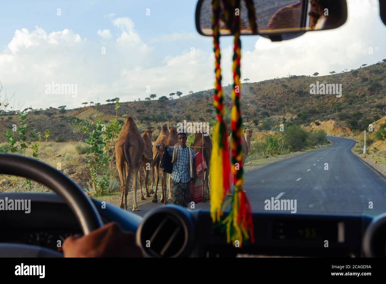 Aksum, Ethiopie - novembre 2018: Conduite à travers l'Ethiopie rurale et troupeau de chameaux en itinérance sur la route Banque D'Images