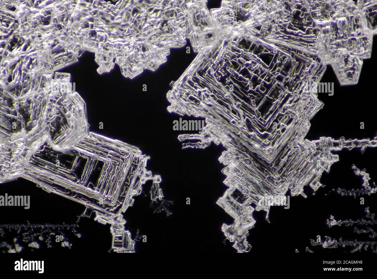 Vue microscopique des cristaux de chlorure de sodium. Éclairage de fond noir. Banque D'Images