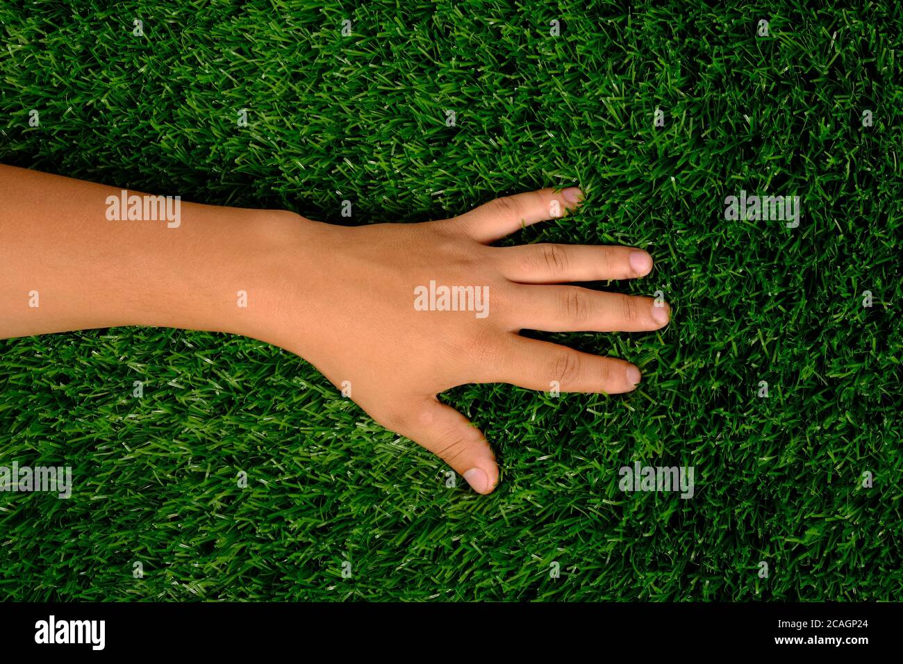 main sur la pelouse, main gauche sur l'herbe verte en gros plan. Banque D'Images