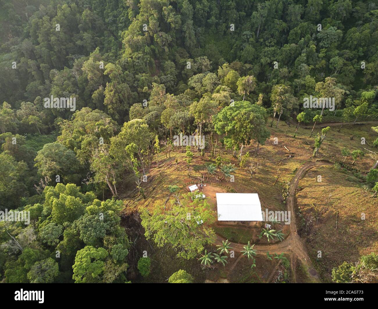 Maison de ferme autour de collines vertes vue aérienne de drone Banque D'Images