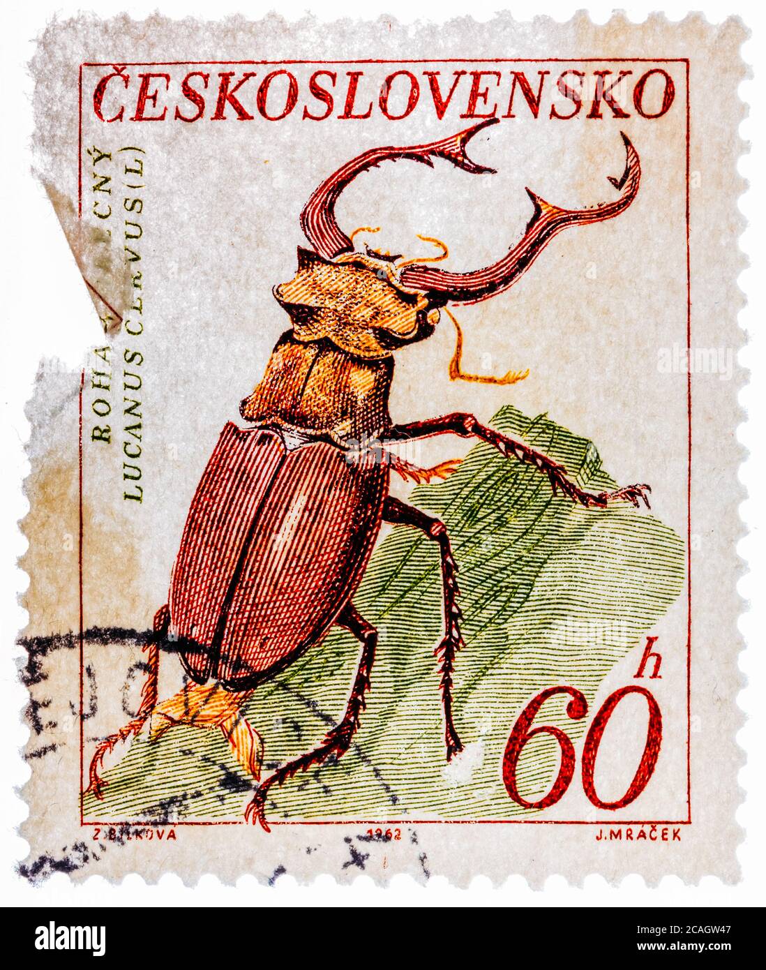 Timbre-poste imprimé par la Tchécoslovaquie, montre le coléoptère du cerf Banque D'Images