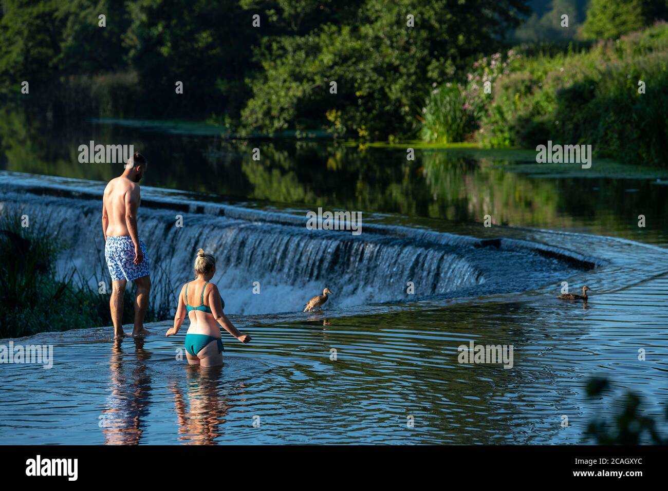 Les gens apprécient une baignade matinale à Warleigh Weir sur la rivière Avon près de Bath dans Somerset tandis que les températures montent à travers le Royaume-Uni. Banque D'Images