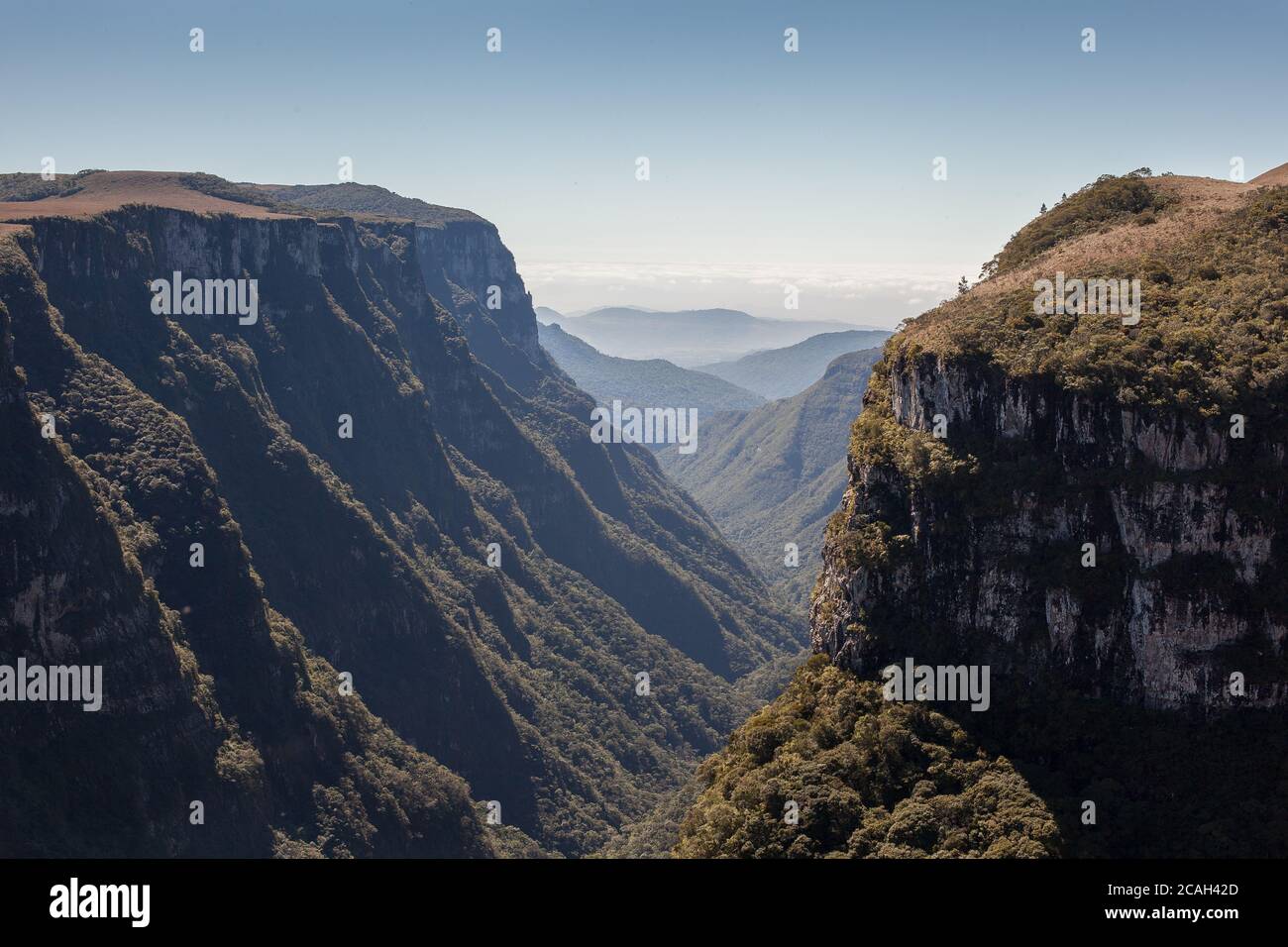 Vue sur Canion Fortaleza - Parc National Serra Geral - Cambara do Sul - Brésil Banque D'Images