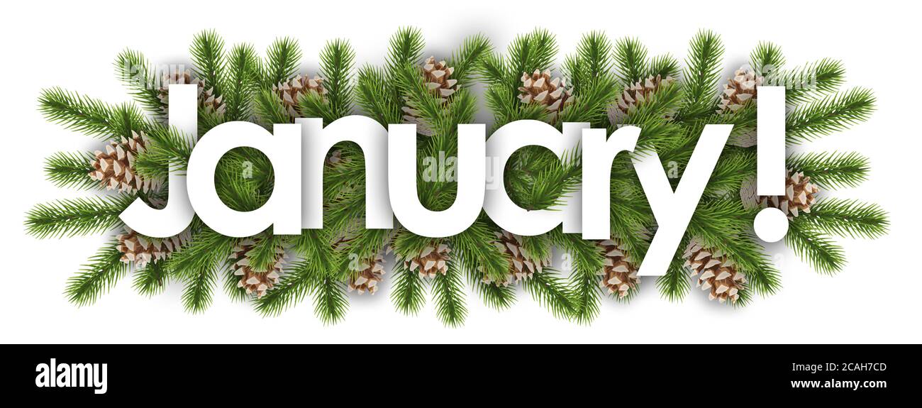 janvier en arrière-plan de noël - branches de pin Banque D'Images