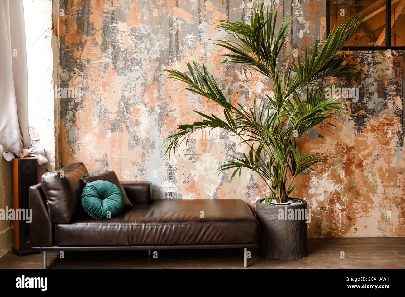 Canapé en cuir noir, canapé avec palmier en pot vert et carrelage, sol  carrelé dans le hall, chambre, hall d'accueil, appartement, condominium  Photo Stock - Alamy