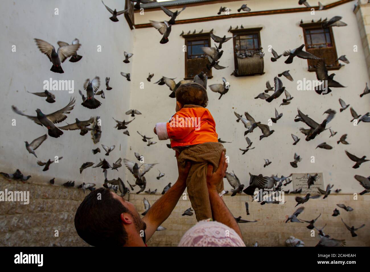 Damas, Syrie 03/28/2010: Un troupeau de colombes dévole dans le Vieux Damas. Un syrien tient sa fille dans ses mains et la soulève Banque D'Images