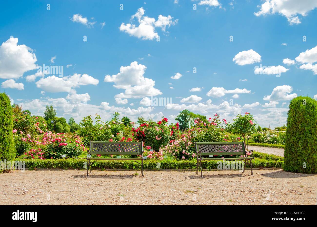 Deux bancs dans le jardin de roses du Palais Rundale par une belle journée d'été. Banque D'Images