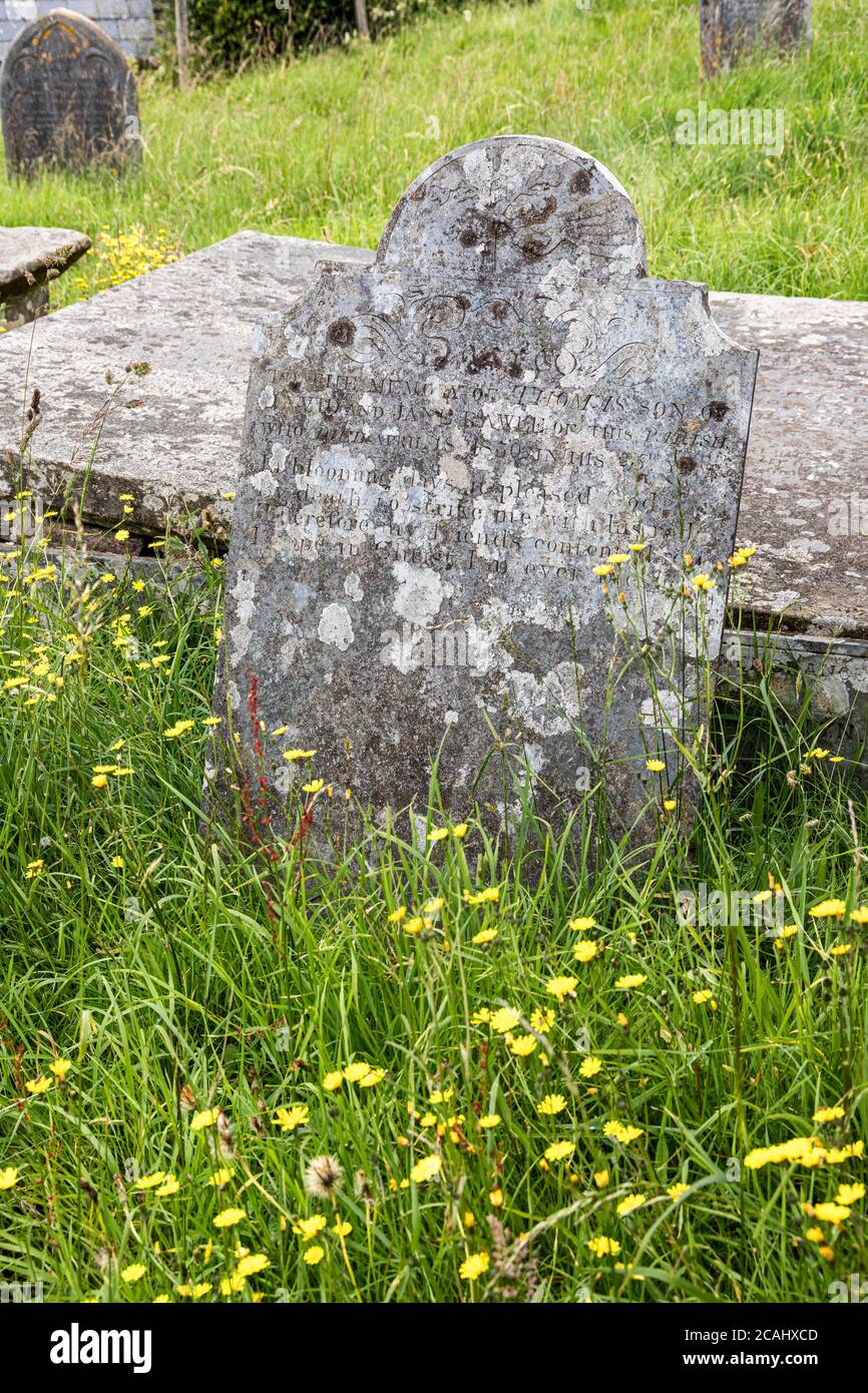 Parc national d'Exmoor - pierre tombale du XIXe siècle de Thomas Rawle (mort en 1830) dans le cimetière de l'église Stoke Pero, Somerset, Royaume-Uni Banque D'Images