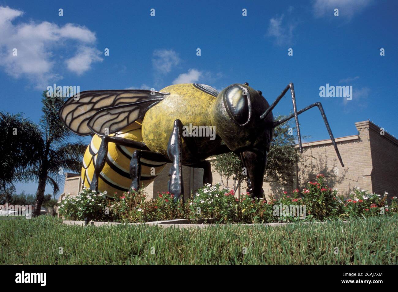 Statue d'une abeille tueuse de 20 mètres de long et de 10 mètres de haut devant la bibliothèque de la ville à Hidalgo, Texas. ©Bob Daemmrich Banque D'Images