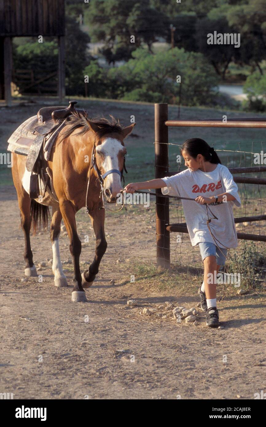 Bandera, Texas États-Unis, 2006 : fille hispanique de cinquième année menant le cheval dans le corral après une leçon d'équitation au camp d'éducation en plein air. ©Bob Daemmrich Banque D'Images