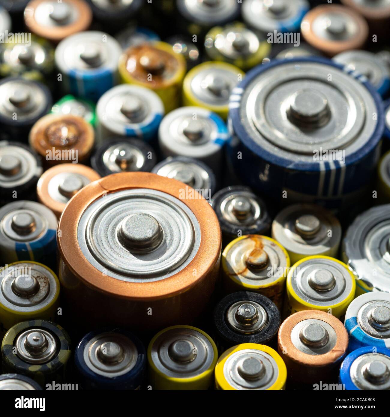 Gros plan des extrémités positives des batteries déchargées de différentes tailles et formats, mise au point sélective. Pile alcaline usagée. Notion : déchets dangereux Banque D'Images