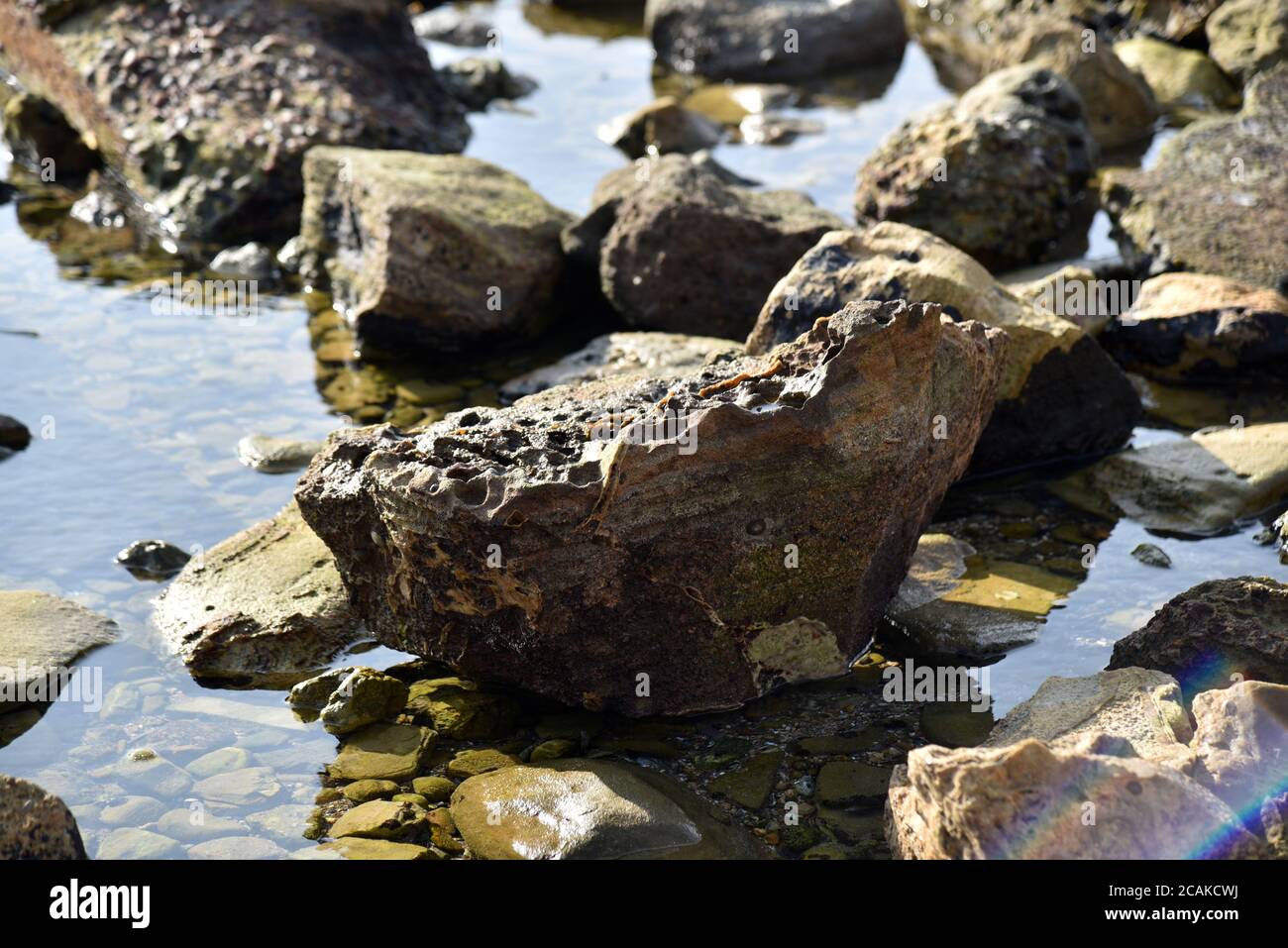 Trous uniques dans les rochers dans une piscine à marée Californie du Sud Banque D'Images
