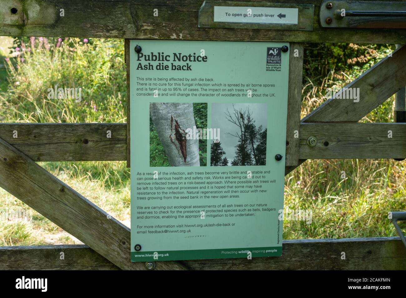 Avis public sur la maladie des arbres, dépérissement des cendres, dans une réserve naturelle du Hampshire, Royaume-Uni Banque D'Images