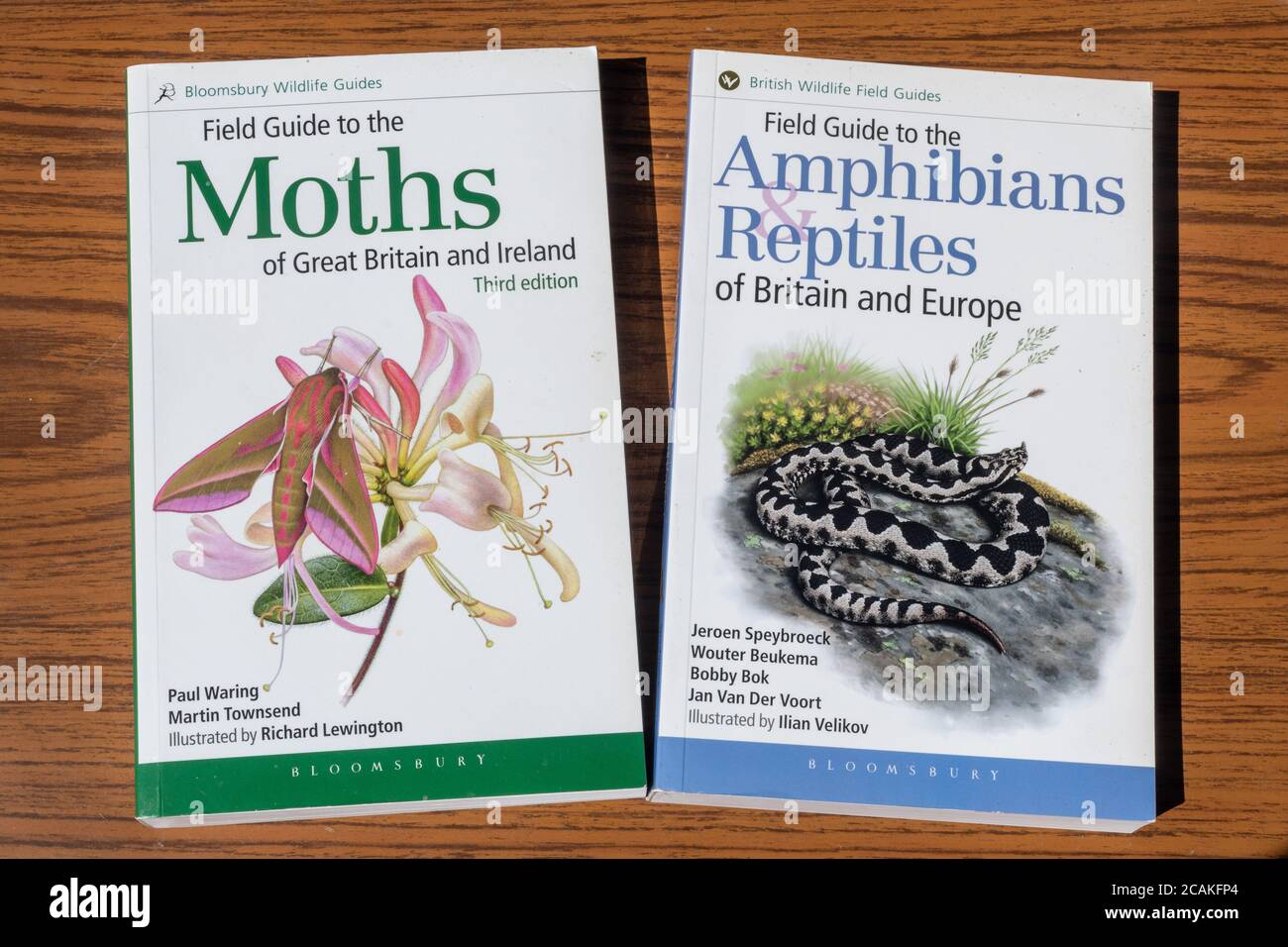 Livres sur la faune, guides de Bloomsbury, identification des papillons de nuit, des amphibiens et des reptiles Banque D'Images