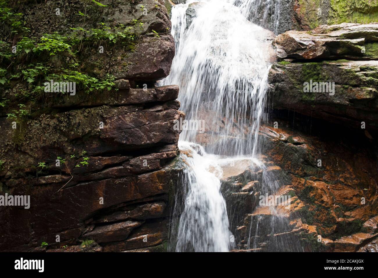 Cascade sur le sentier Flume Trail, Lincoln, New Hampshire Banque D'Images