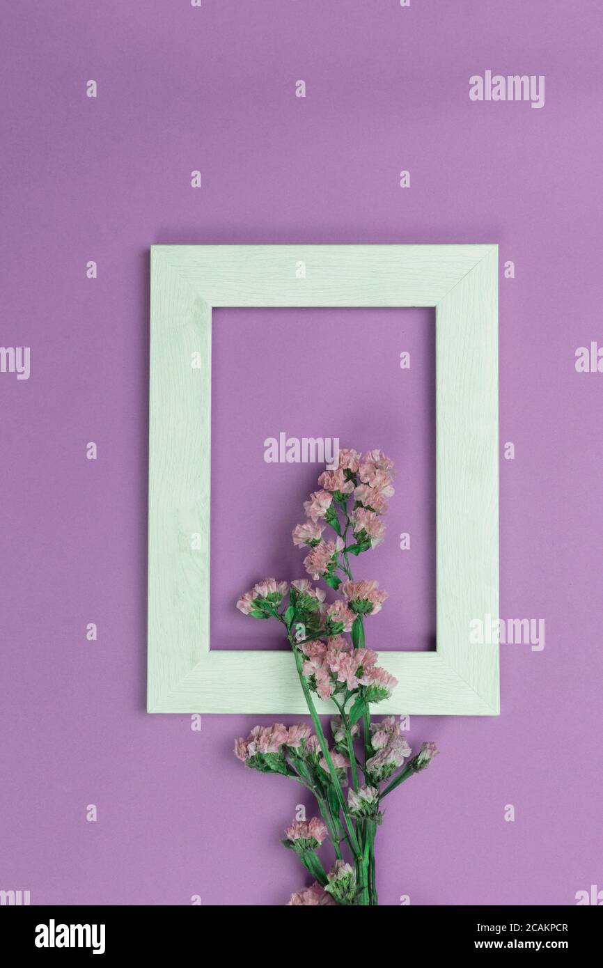nature petite fleur naturelle rose sauvage dans cadre en bois blanc sur fond violet Banque D'Images