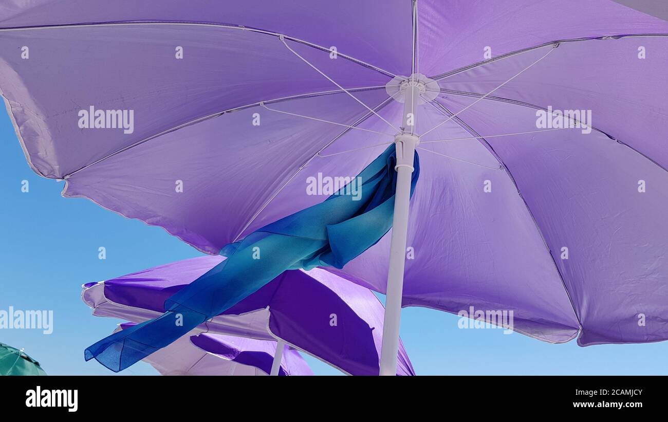 Le parasol violet clair et le foulard en soie de couleur dégradé bleu agitent par le vent avec des parasols de plage violets sur fond bleu ciel. Esthétique estivale de W Banque D'Images